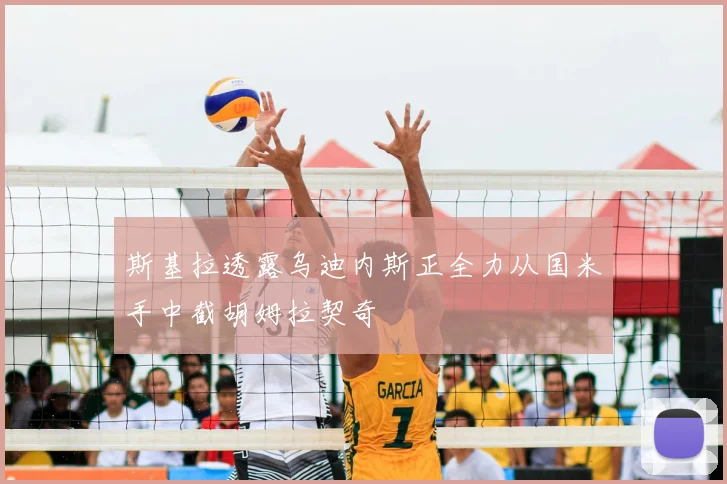 斯基拉透露乌迪内斯正全力从国米手中截胡姆拉契奇