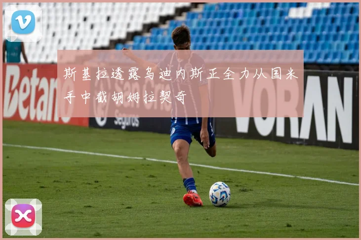 斯基拉透露乌迪内斯正全力从国米手中截胡姆拉契奇