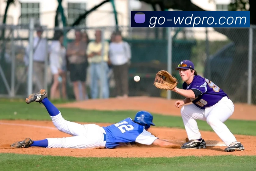 wending官网APP全站App